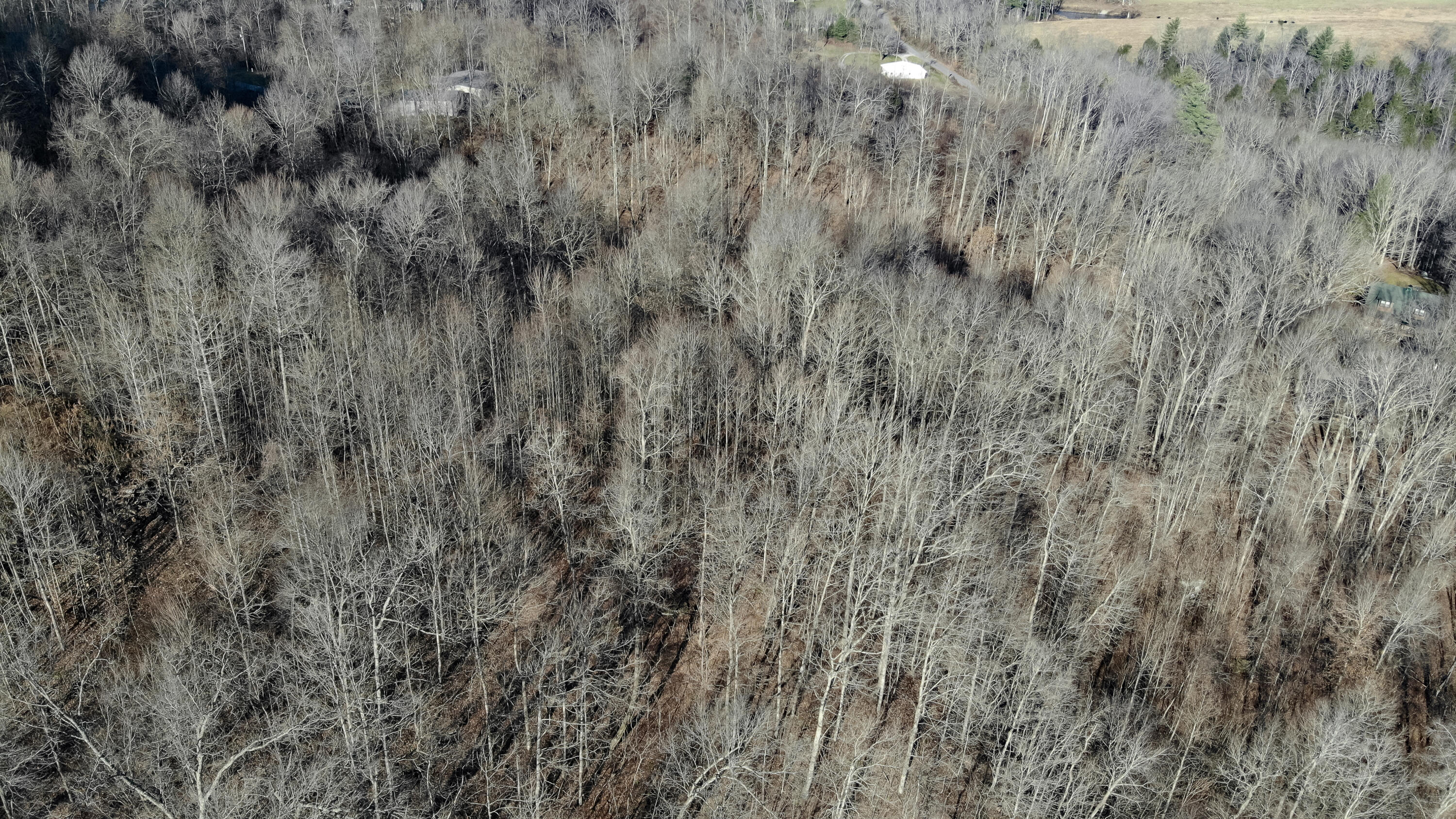 5.64 Stansbury Mountain Road Copperhill, TN 37317 - Photo 39 of 43 Cooperhill Tn-39