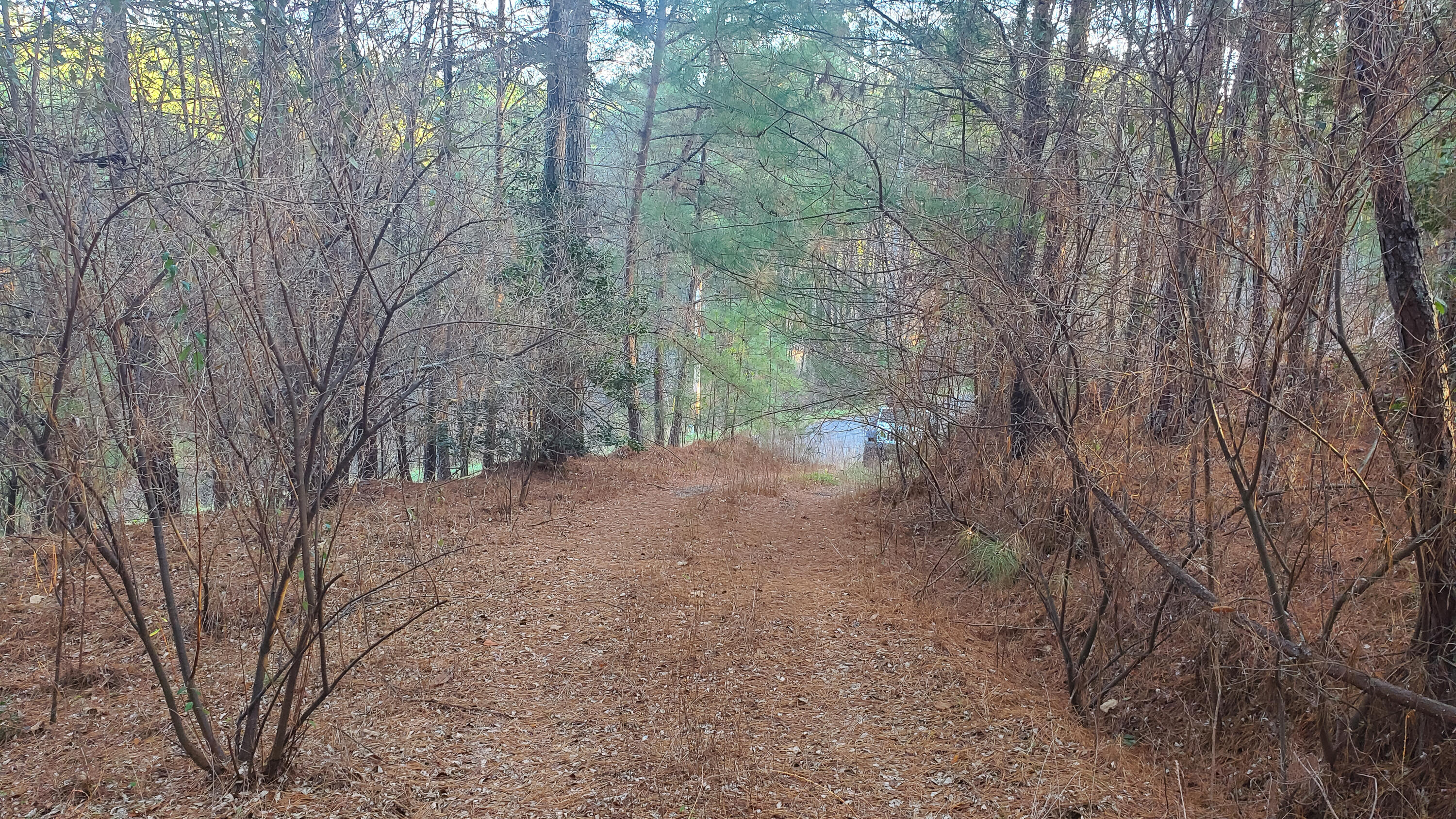 5.64 Stansbury Mountain Road Copperhill, TN 37317 - Photo 4 of 43 Cooperhill Tn-4