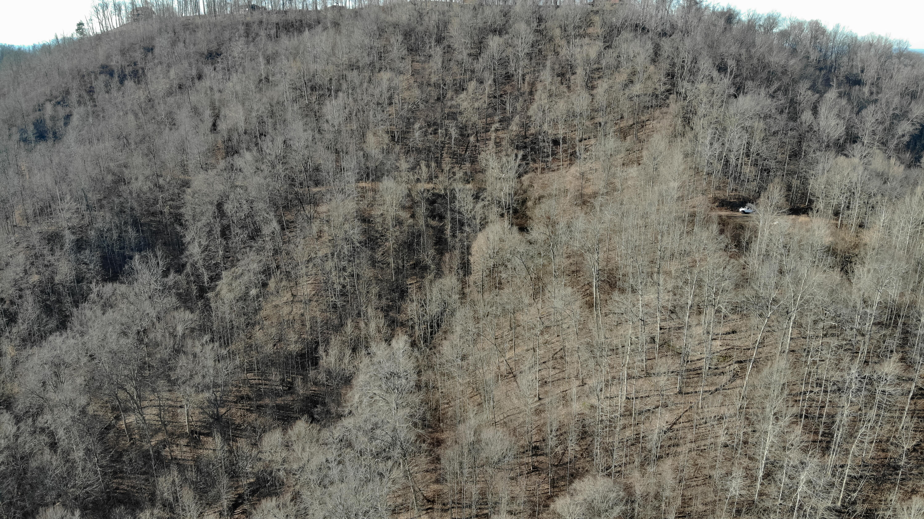 5.64 Stansbury Mountain Road Copperhill, TN 37317 - Photo 42 of 43 Cooperhill Tn-42