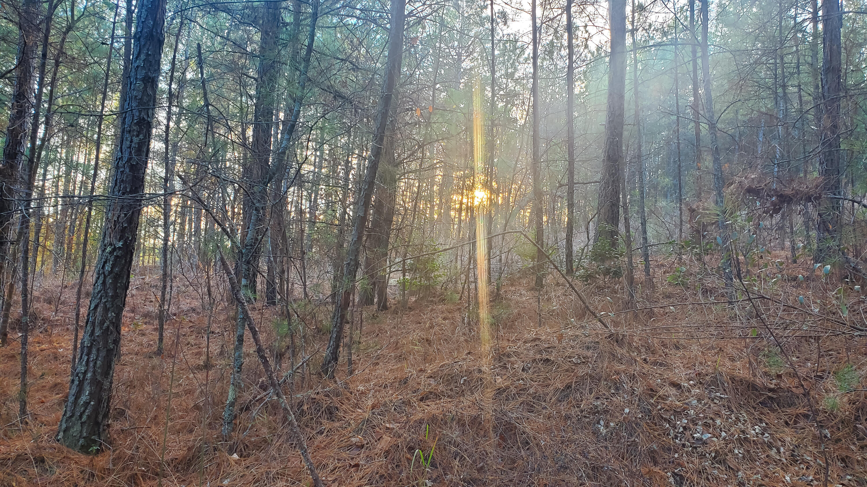 5.64 Stansbury Mountain Road Copperhill, TN 37317 - Photo 6 of 43 Cooperhill Tn-6