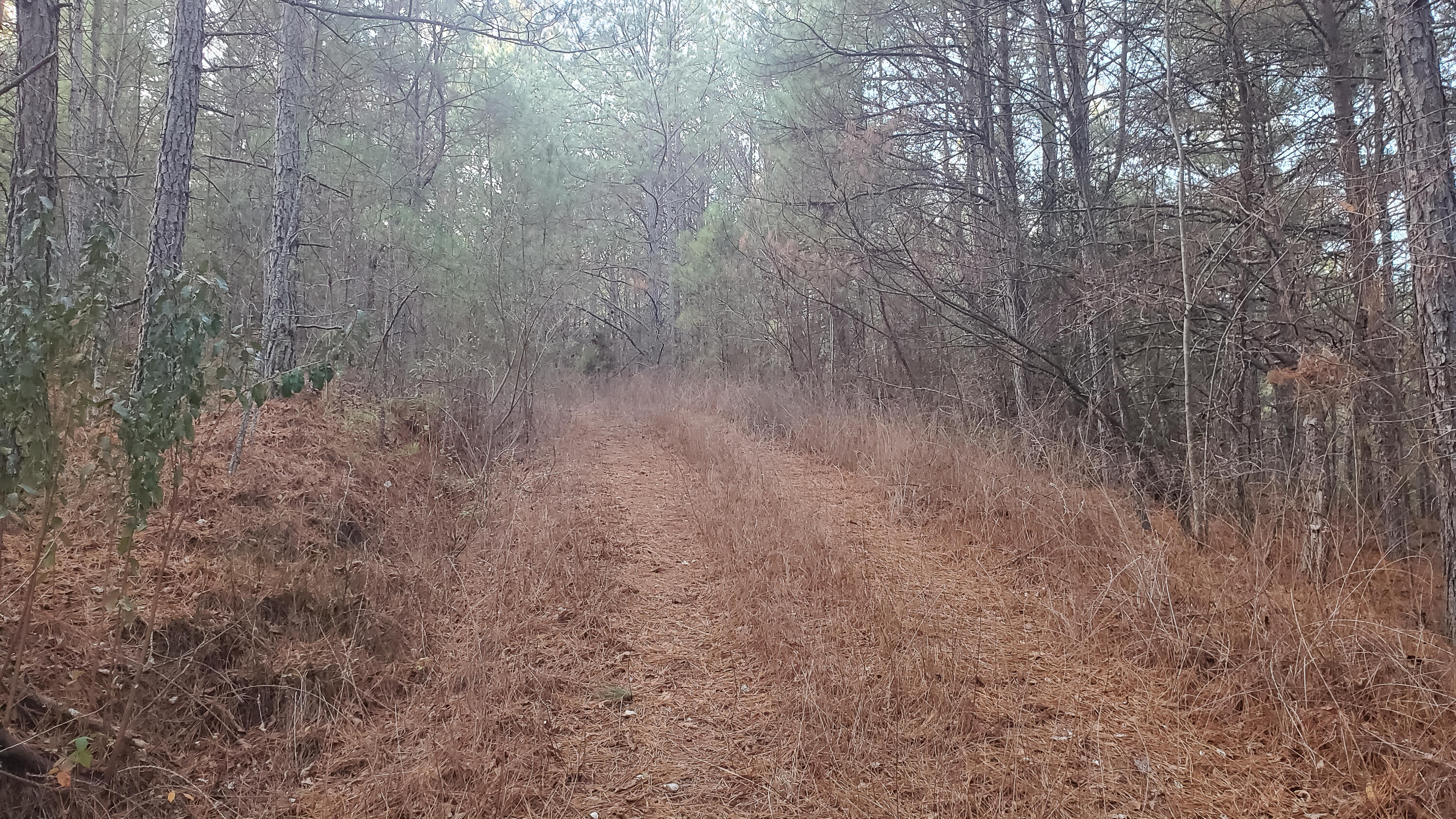 5.64 Stansbury Mountain Road Copperhill, TN 37317 - Photo 7 of 43 Cooperhill Tn-7