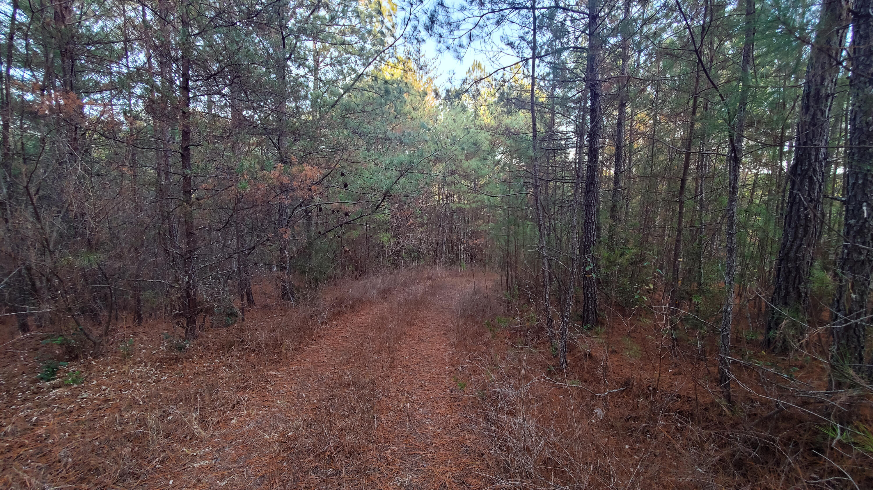 5.64 Stansbury Mountain Road Copperhill, TN 37317 - Photo 10 of 43 Cooperhill Tn-10