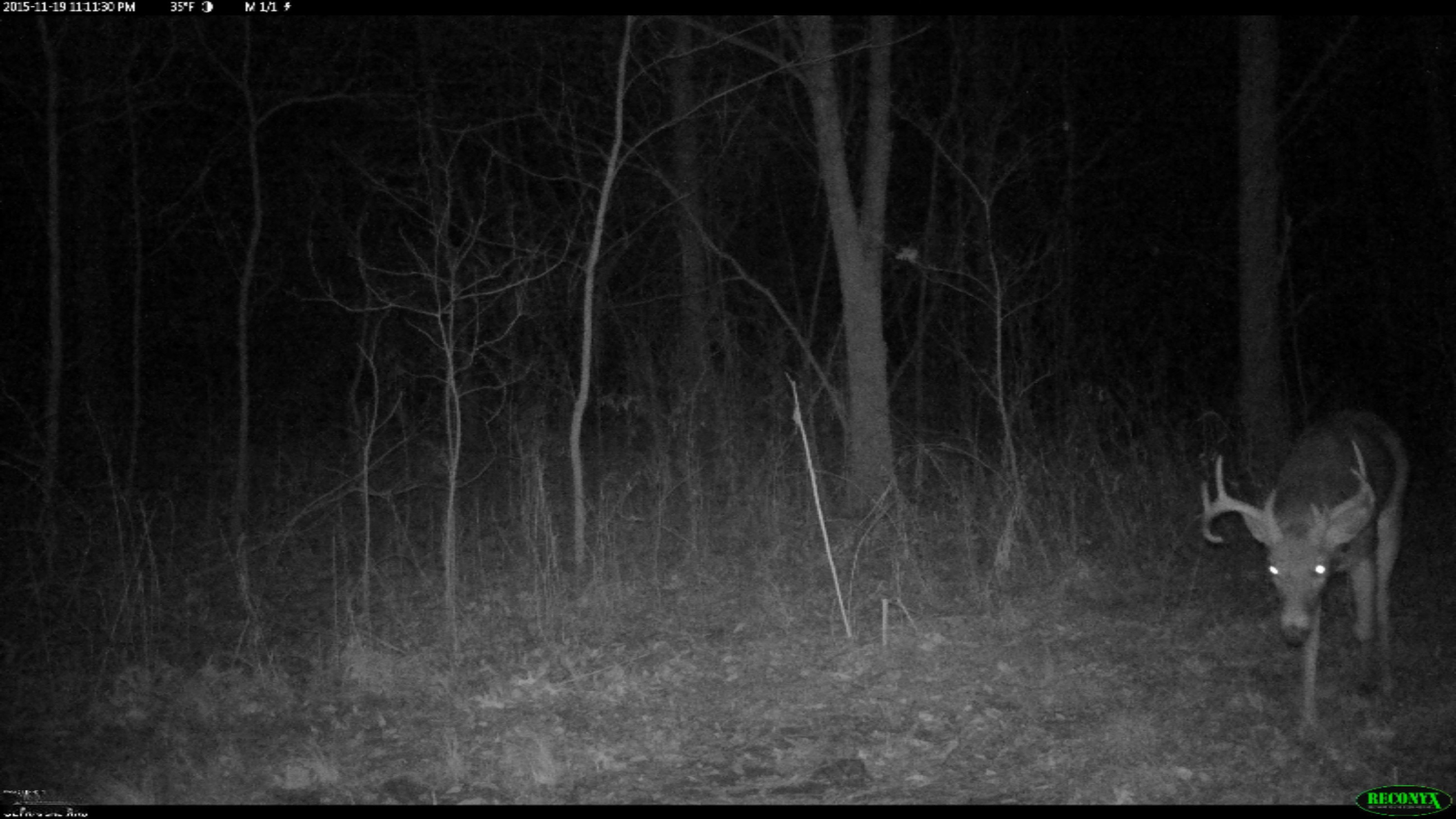 Taylor Road Sturgis, MI 49091 - Photo 11 of 12 9 behind house
