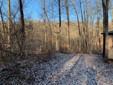 Taylor Road Sturgis, MI 49091 - Photo 2 of 12 25972