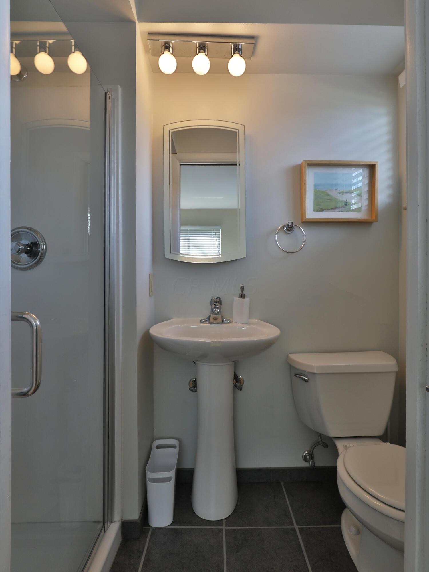 207 Lake Ridge Road Worthington, OH 43085 - Photo 27 of 60 Owner's Bath