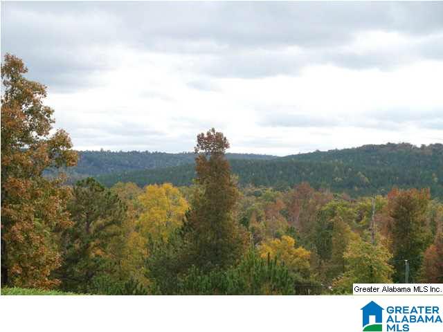 831 Hidden Ridge Chelsea, AL 35043 - Photo 34 of 35