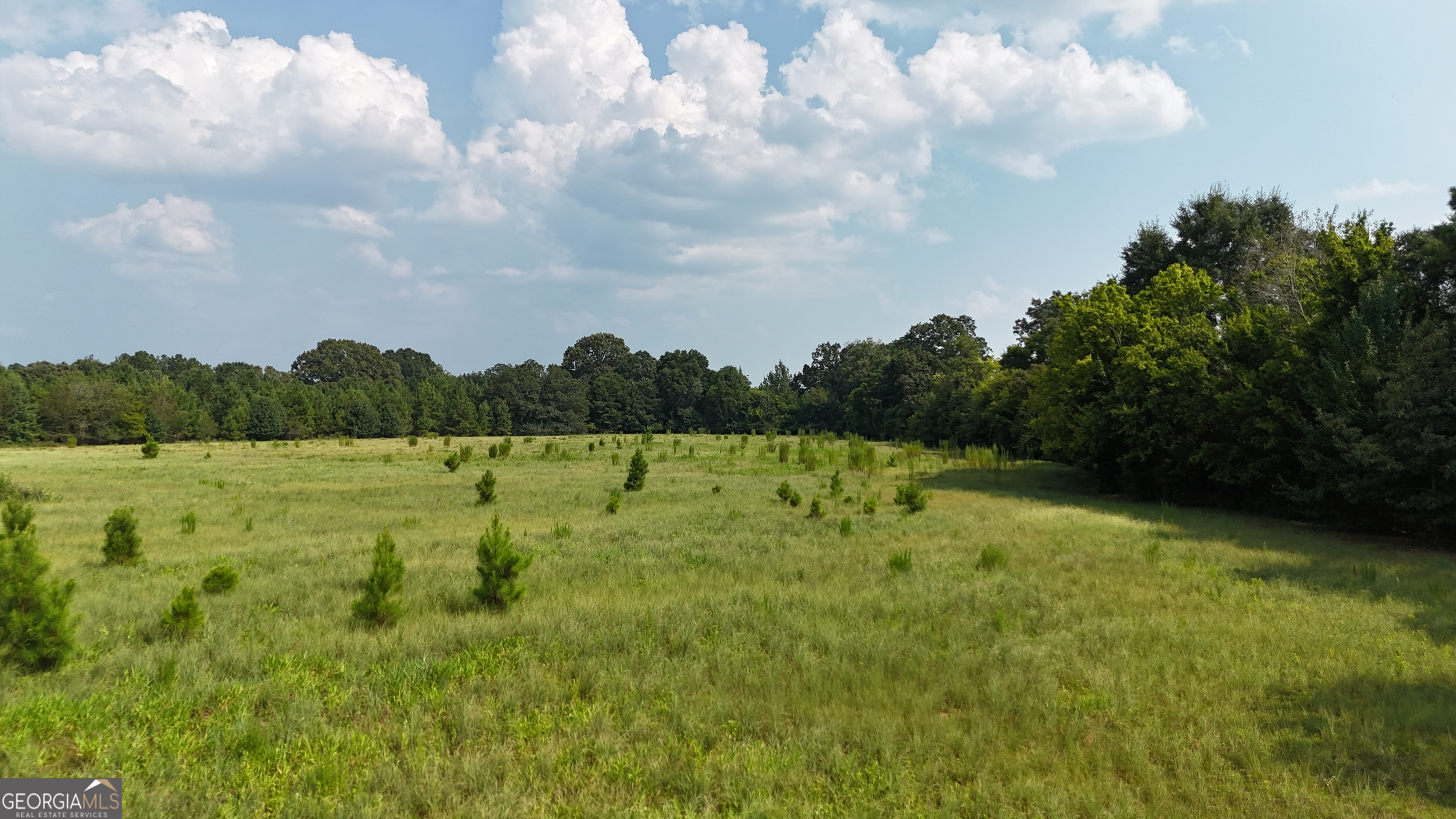 14 South Carter Fish Pond Road Plains, GA 31780 - Photo 3 of 10 Gallery Image 3