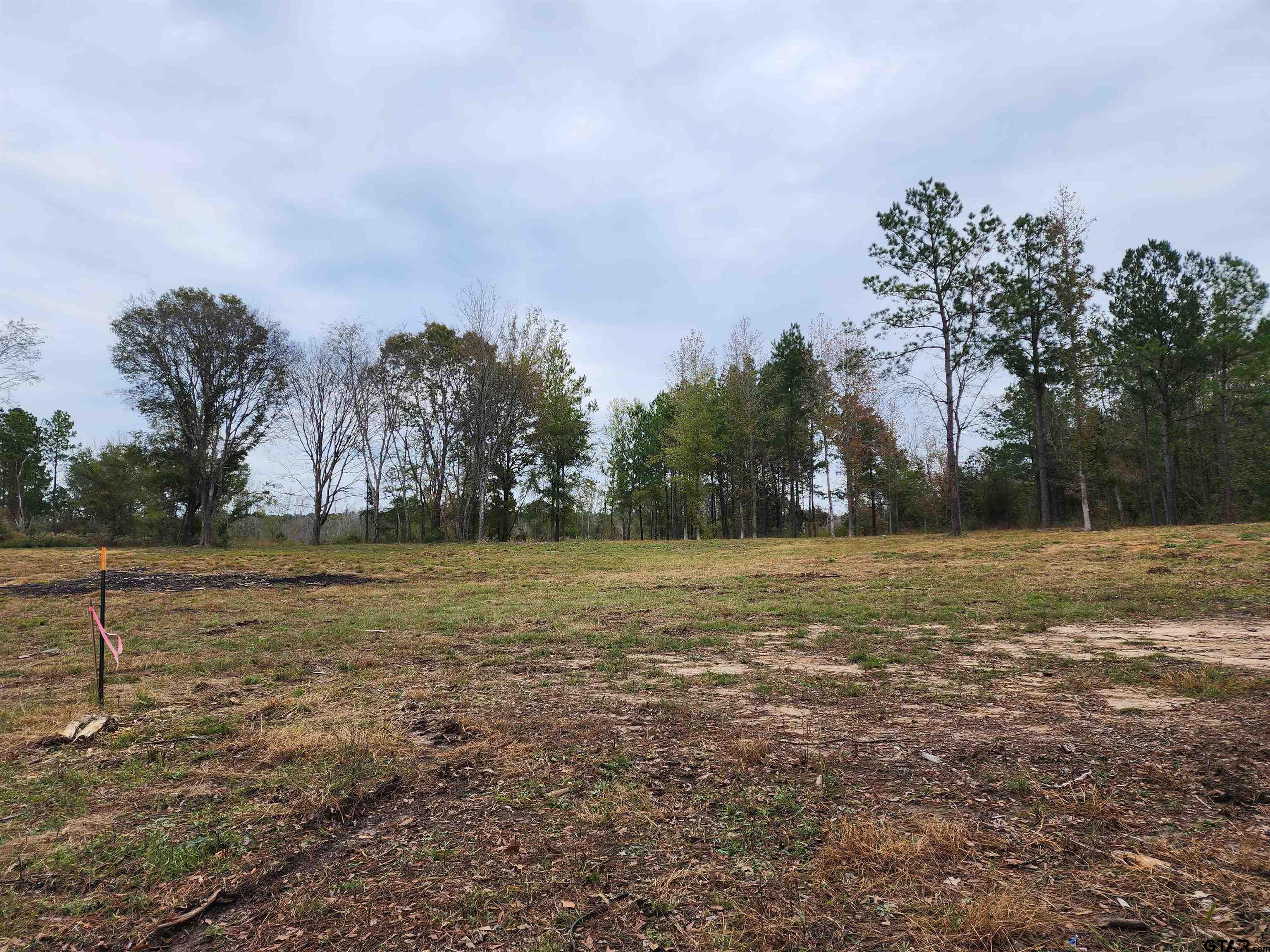 Lot 5-tbd Northeast Winona Tx  