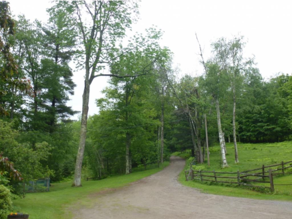 320 Old Town Road Ripton, VT 05766 - Photo 16 of 16