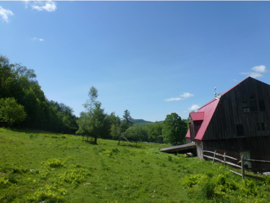 320 Old Town Road Ripton, VT 05766 - Photo 3 of 16