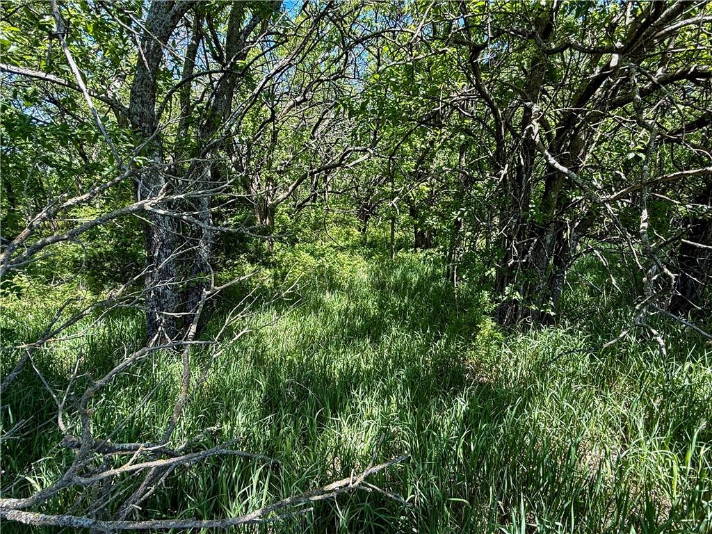 0 South Stanley Road Quenemo, KS 66528 - Photo 16 of 44