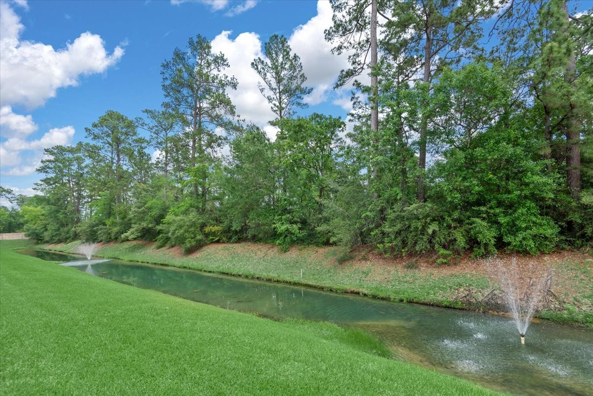 2919 Crescent Star Road Spring, TX 77388 - Photo 32 of 39 view from your back patio!