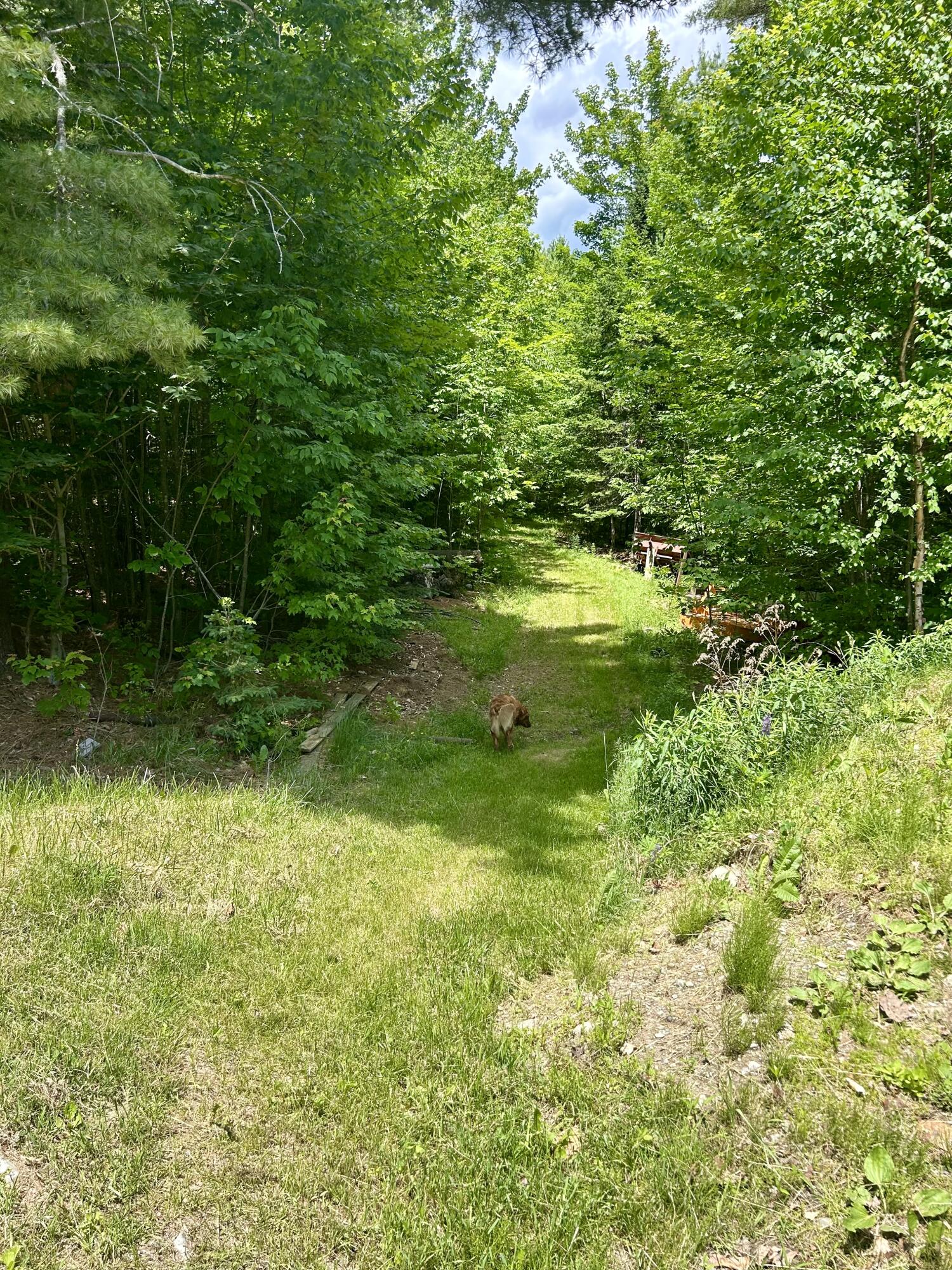 45 Ramsdell Road Kingfield, ME 04947 - Photo 45 of 50 IMG_8423