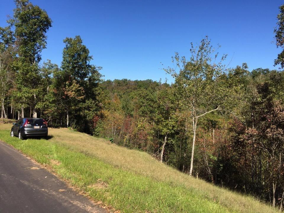 Lot #94 River Mountain Road Murphy, NC 28906 - Photo 12 of 12
