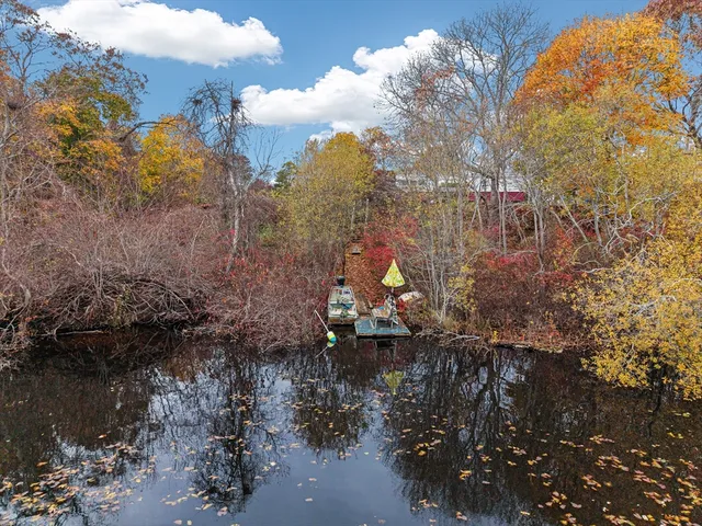 a view of a lake in middle of forest