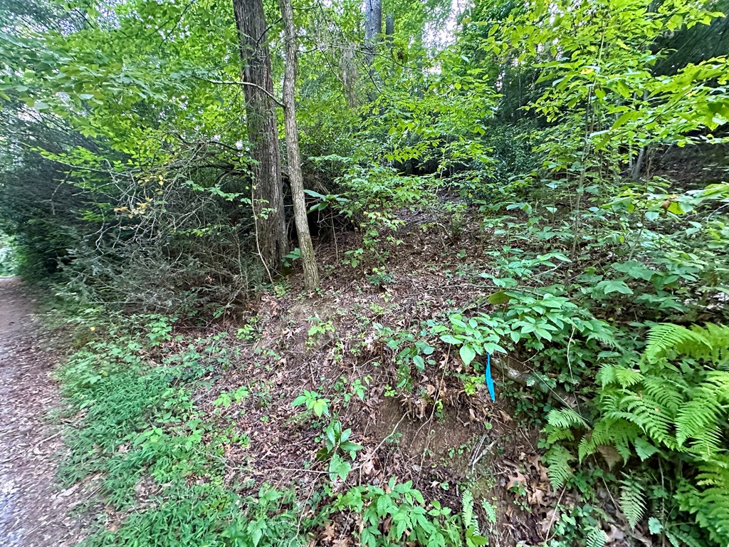 0 Riverside Lane Blue Ridge, GA 30513 - Photo 23 of 35 a view of forest