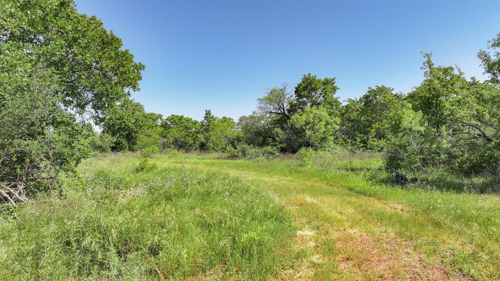 Tbd Lot 41.7 Tbd Road Gordon, TX 76453 - Photo 19 of 39 a view of a big yard with plants and large trees