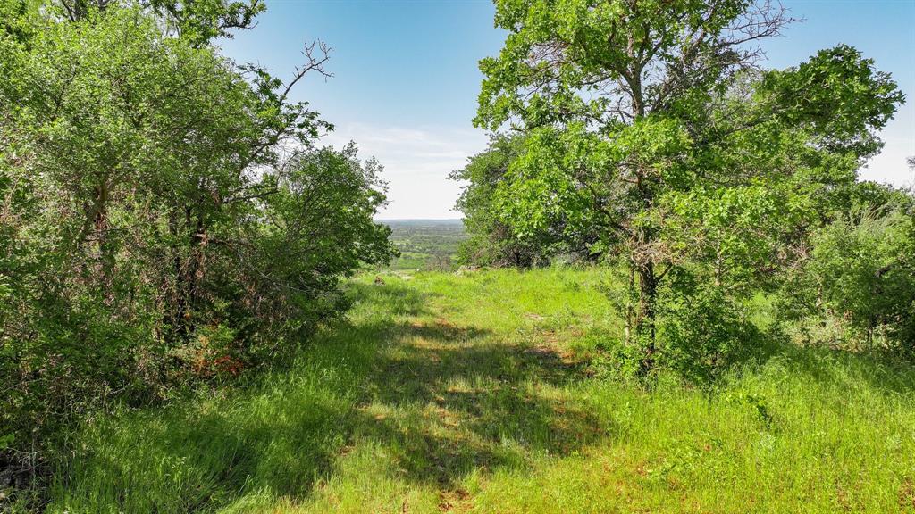 Tbd Lot 41.7 Tbd Road Gordon, TX 76453 - Photo 10 of 39 a view of yard with green space