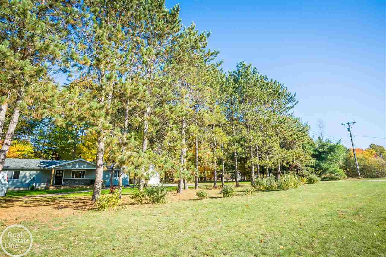 7179 Townsend Road Applegate, MI 48401 - Photo 3 of 77 31398909-2.JPG