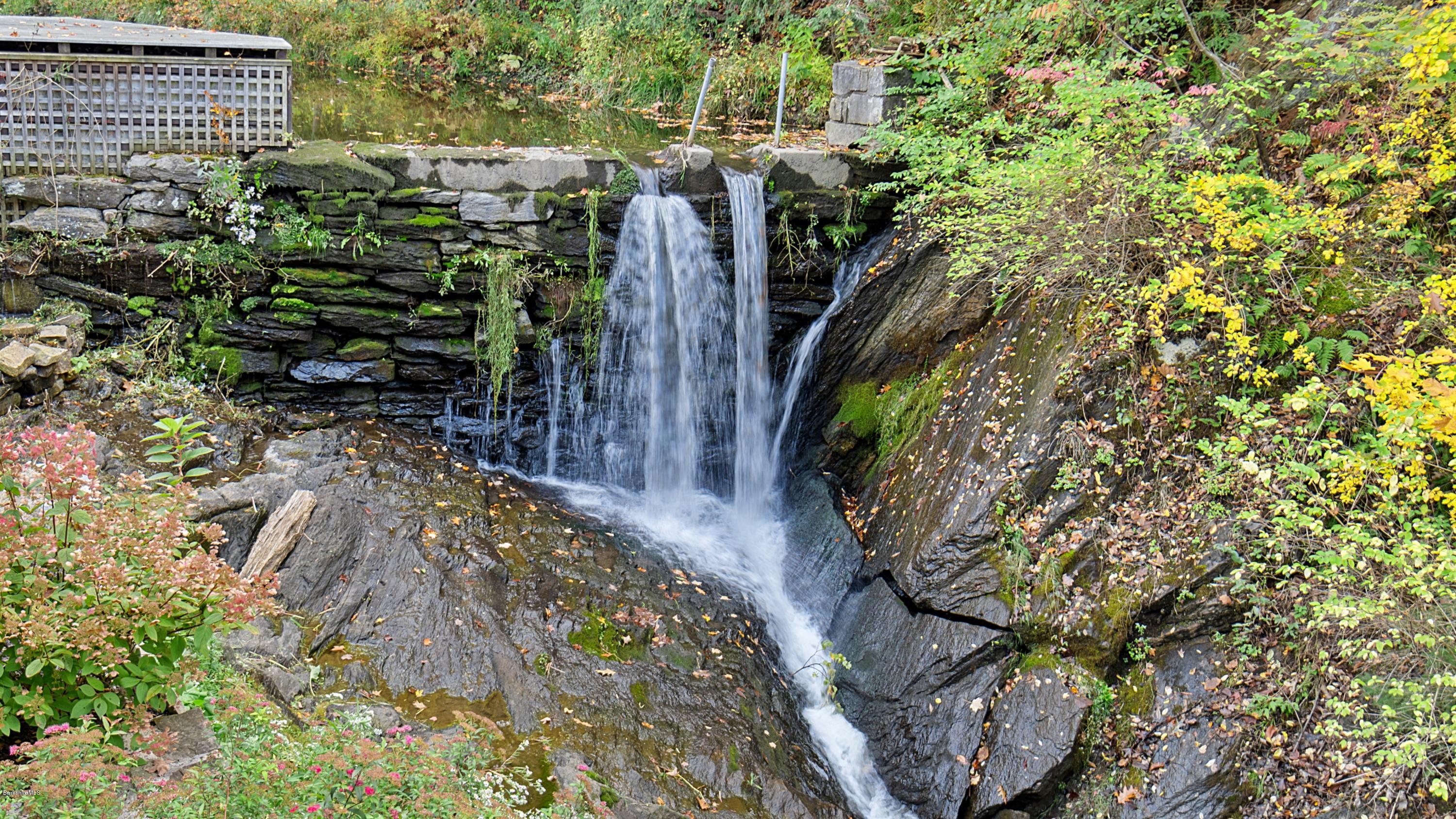 1204 Ashley Falls Road Sheffield, MA 01257 - Photo 39 of 55 a view of a garden with plants