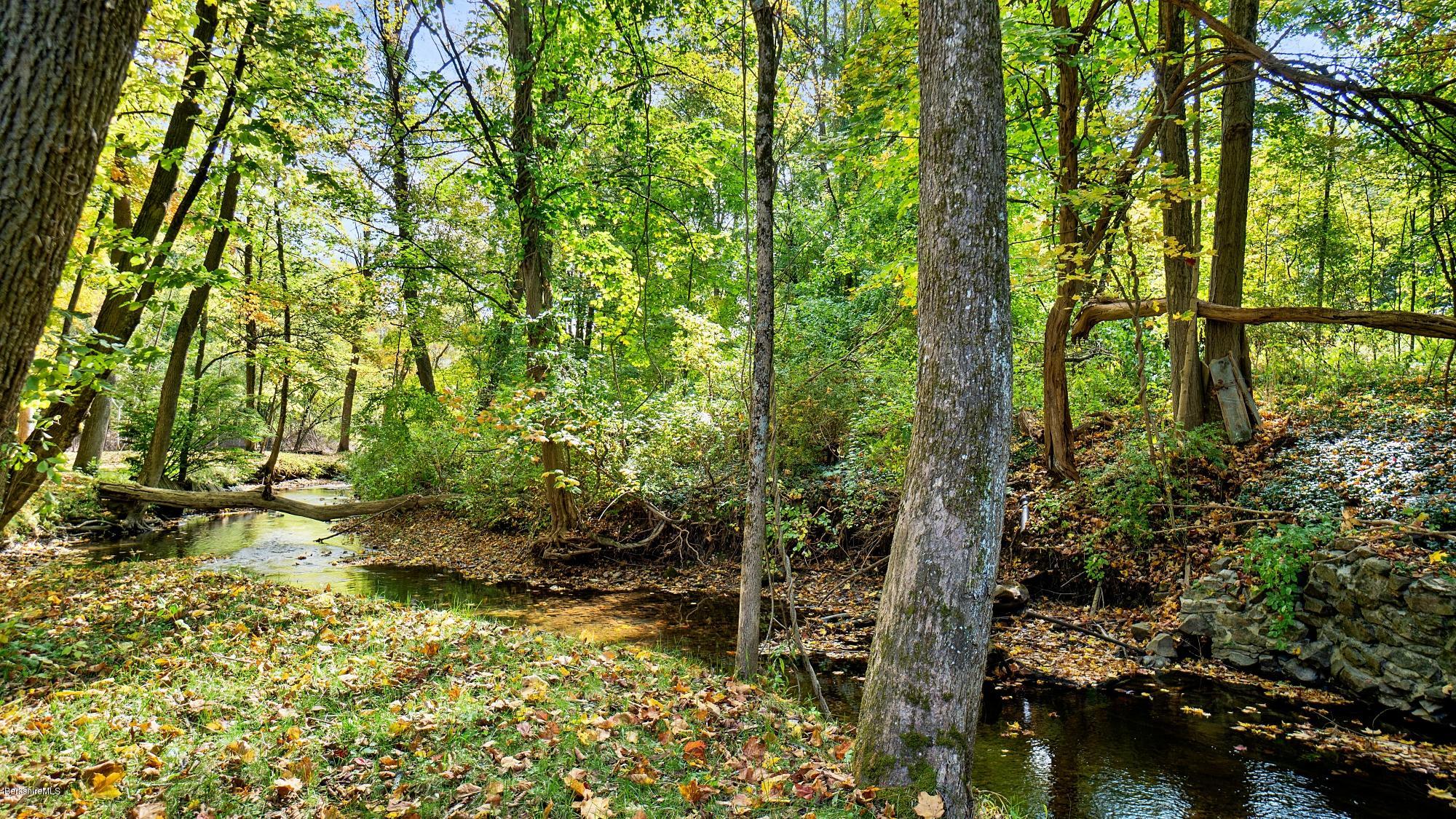 1204 Ashley Falls Road Sheffield, MA 01257 - Photo 51 of 55 a backyard of a house with lots of green space and garden area