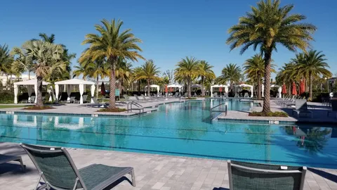 a view of a yard and a palm tree
