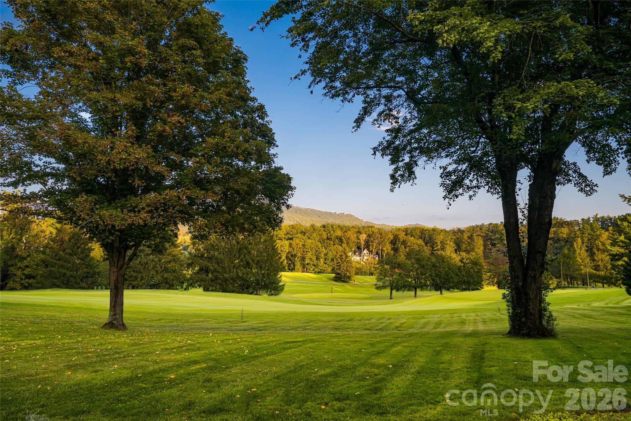 402 Vanderbilt Road Asheville, NC 28803 - Photo 39 of 48