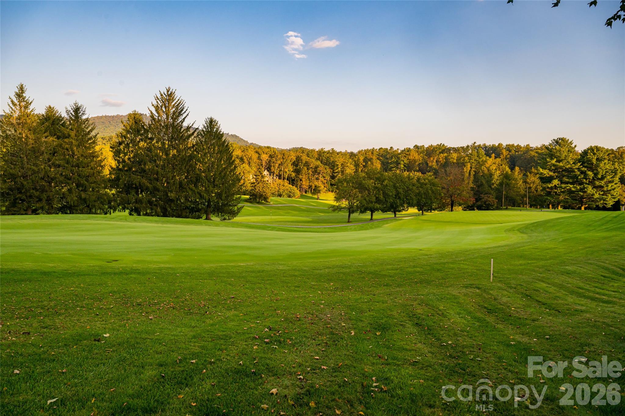 402 Vanderbilt Road Asheville, NC 28803 - Photo 43 of 48