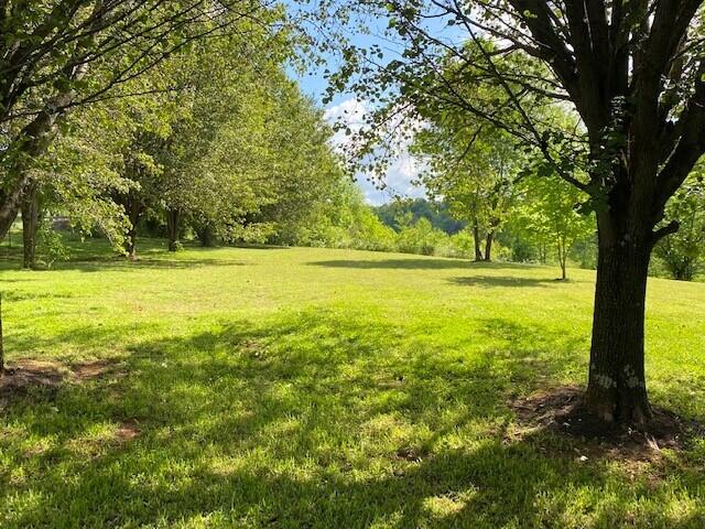 3863 Big Springs Ridge Road Friendsville, TN 37737 - Photo 14 of 40 3863 Big Springs Ridge Rd