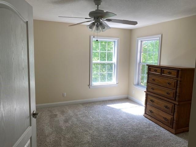 3863 Big Springs Ridge Road Friendsville, TN 37737 - Photo 28 of 40 3863 Big Springs Ridge Rd