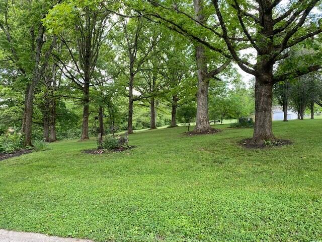 3863 Big Springs Ridge Road Friendsville, TN 37737 - Photo 6 of 40 3863 Big Springs Ridge Rd