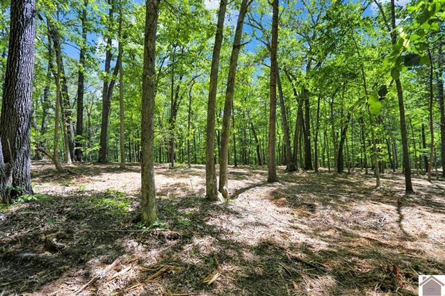 Lot 19-20 Post Oak Road Benton, KY 42025 - Photo 27 of 41 136588-51d08927-af69-4412-8933-a92be97f4