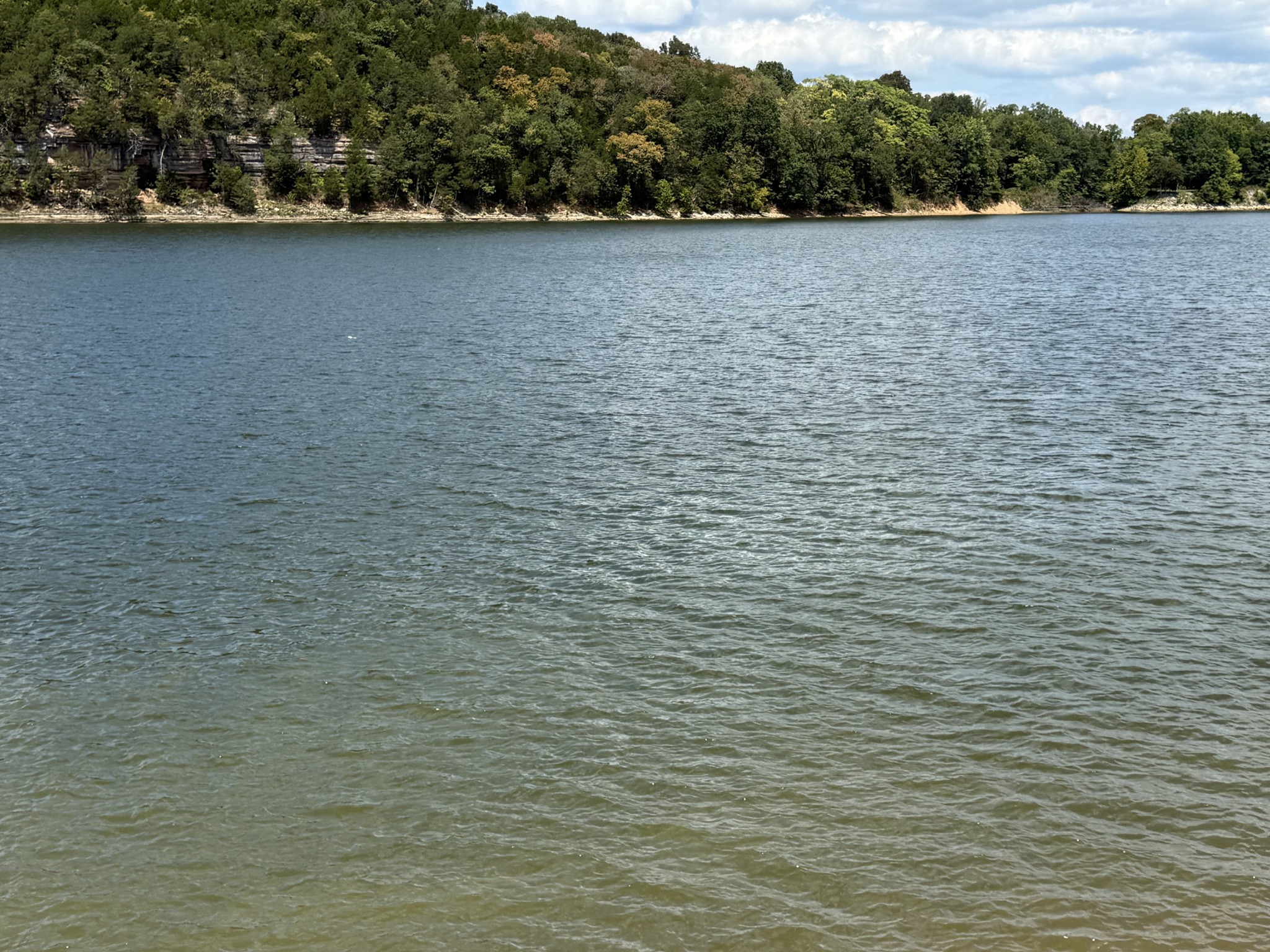 2133 Hardin Bottom River Road Clifton, TN 38425 - Photo 35 of 42 a view of a lake view