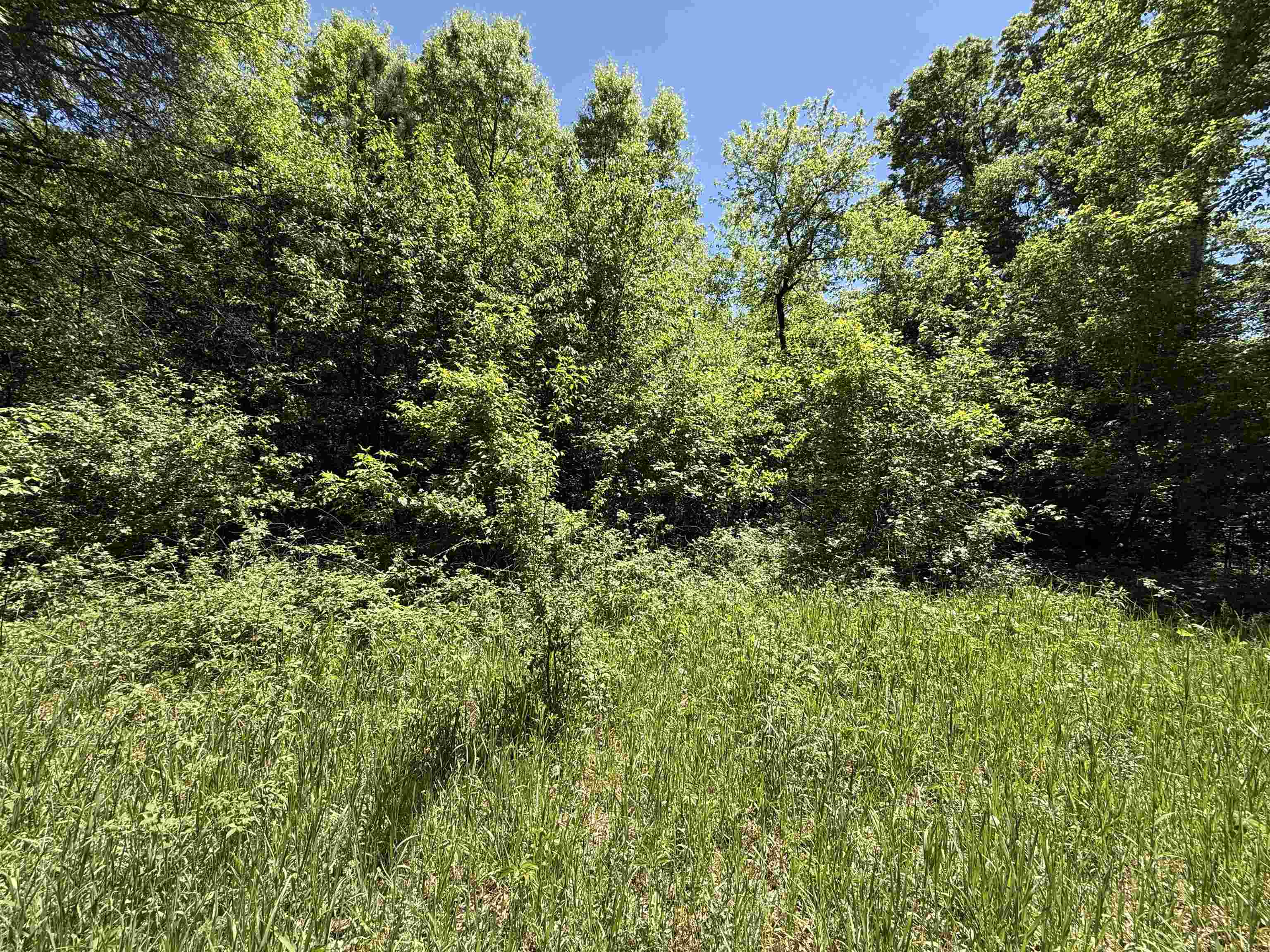 Lot 16 Arrowhead Road Amherst Junction, WI 54407 - Photo 2 of 17