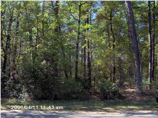 0 Silver Lake Road Fountain, FL 32438 - Photo 1 of 1 Primary Photo