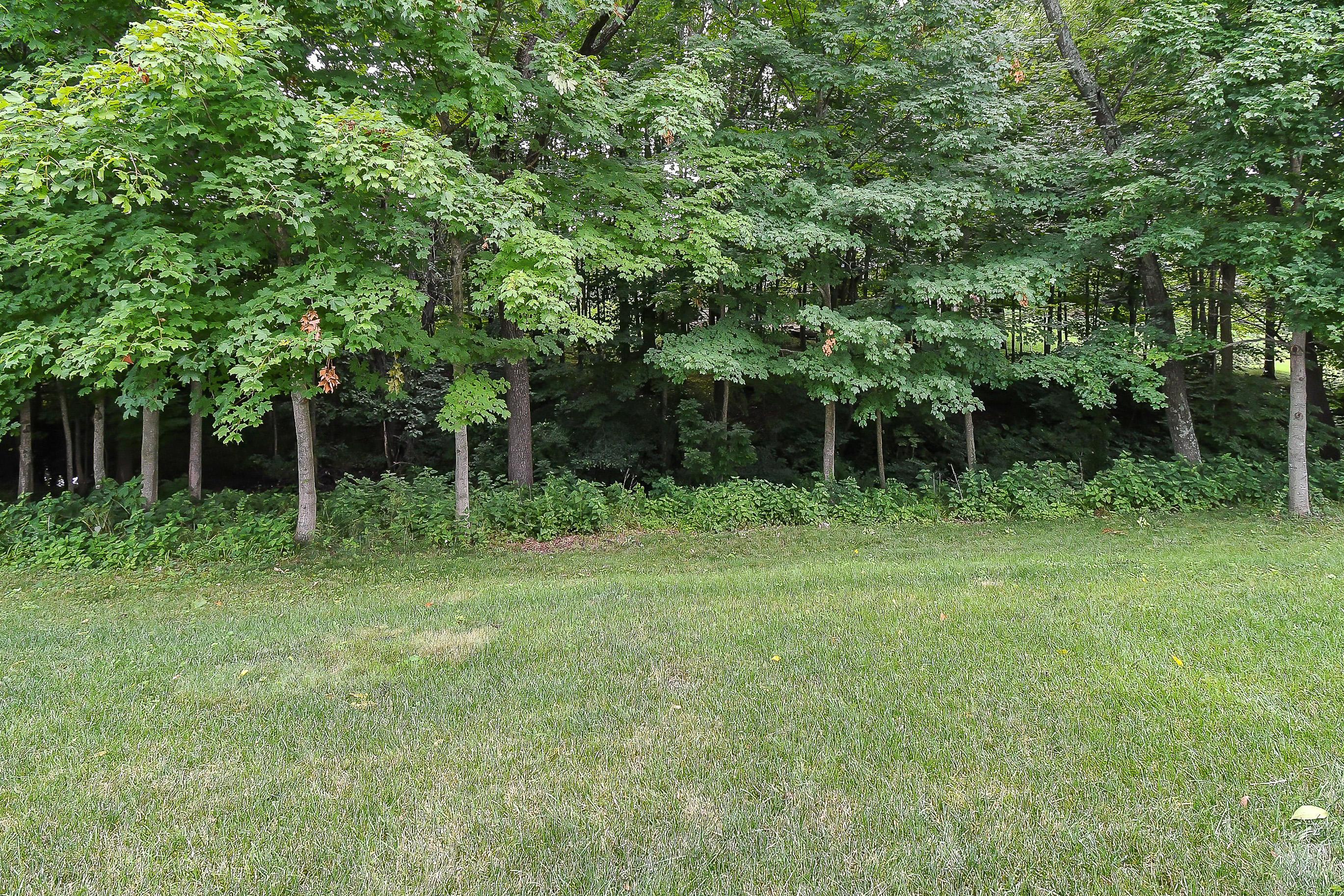 2605 Pointewood Loop Galena, OH 43021 - Photo 48 of 55
