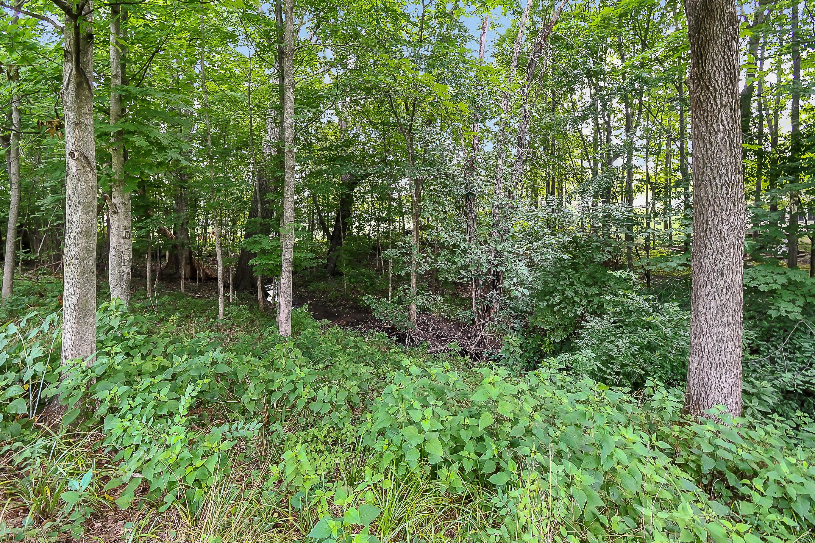 2605 Pointewood Loop Galena, OH 43021 - Photo 49 of 55