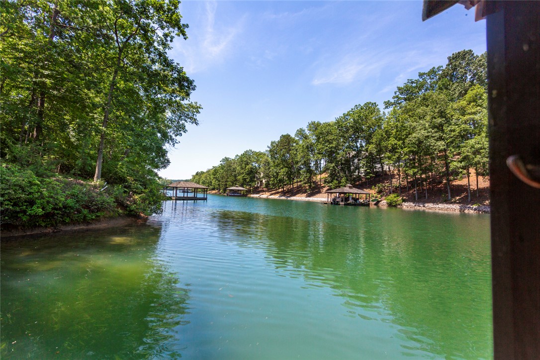 130 River Ridge Road Sunset, SC 29685 - Photo 6 of 50