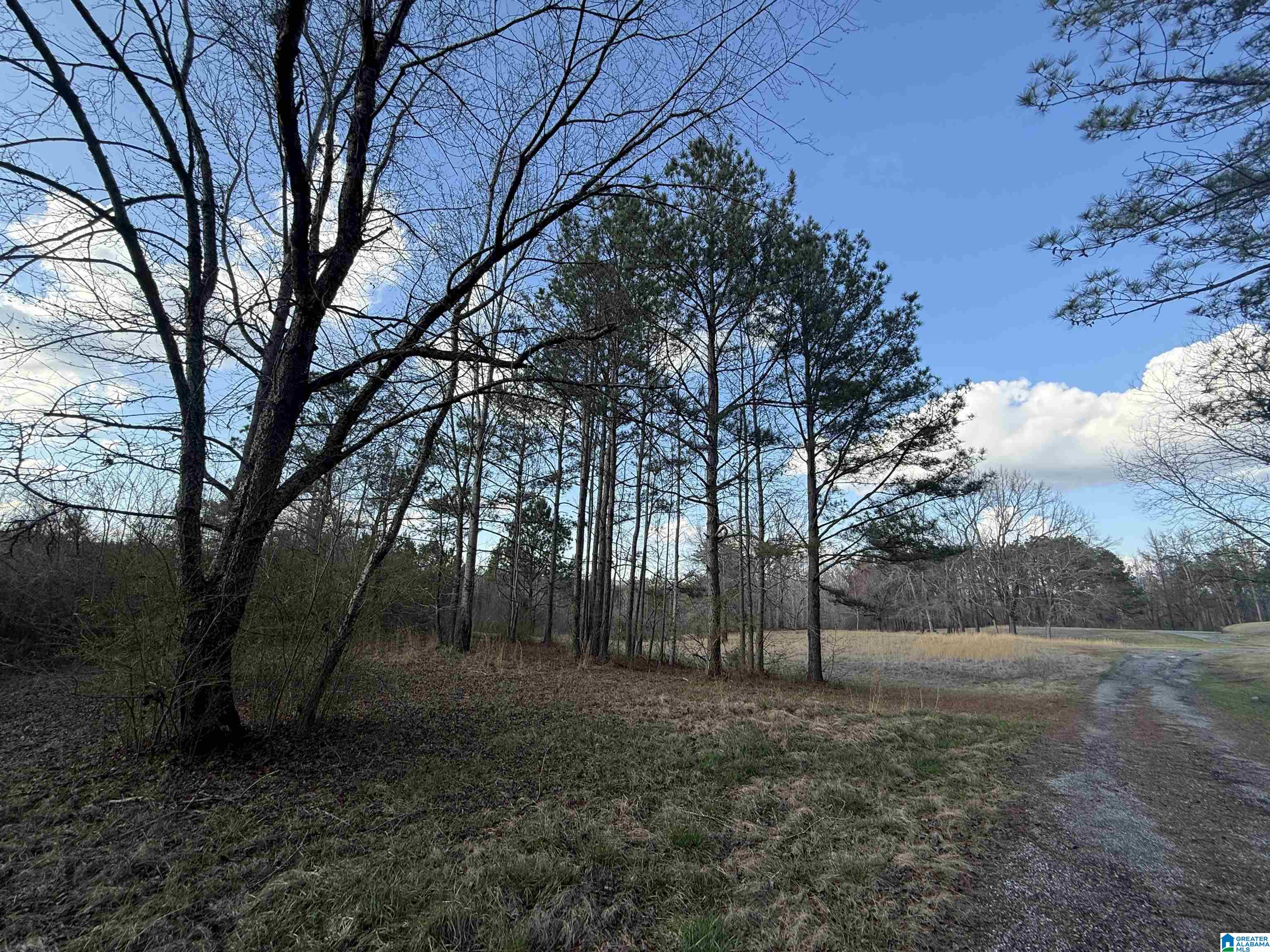 0 County Road 448 Clanton, AL 35046 - Photo 4 of 6