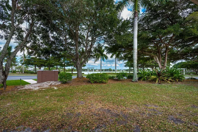 a view of a house with backyard and a tree