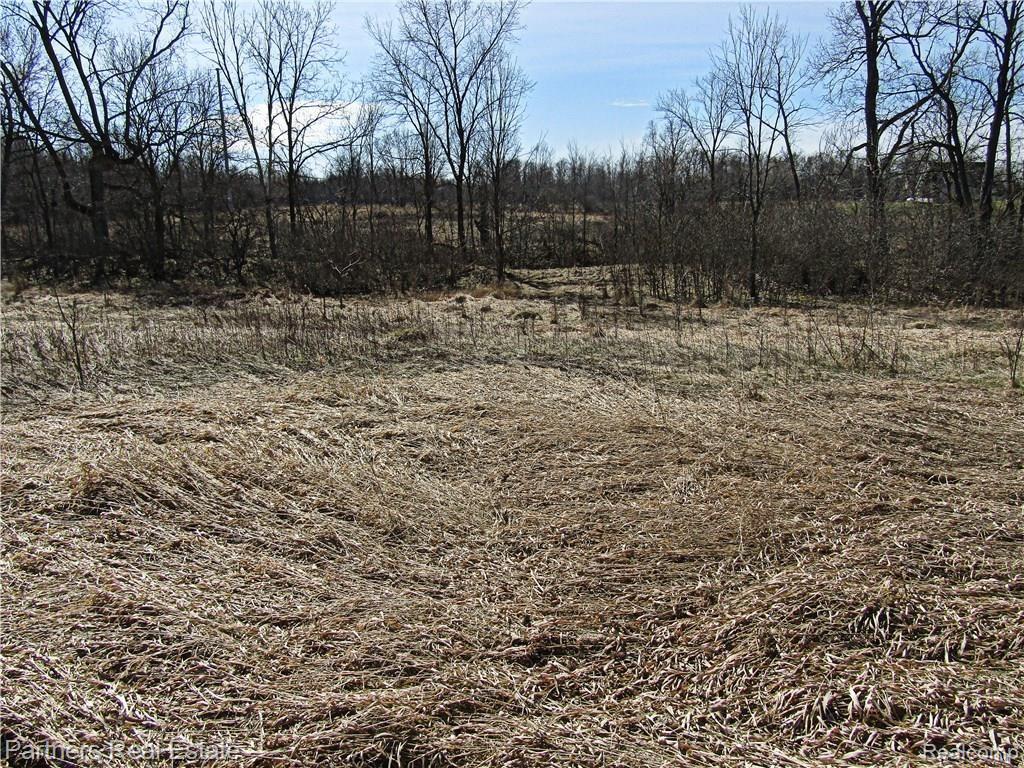 0 Clyde Road Howell, MI 48855 - Photo 3 of 6