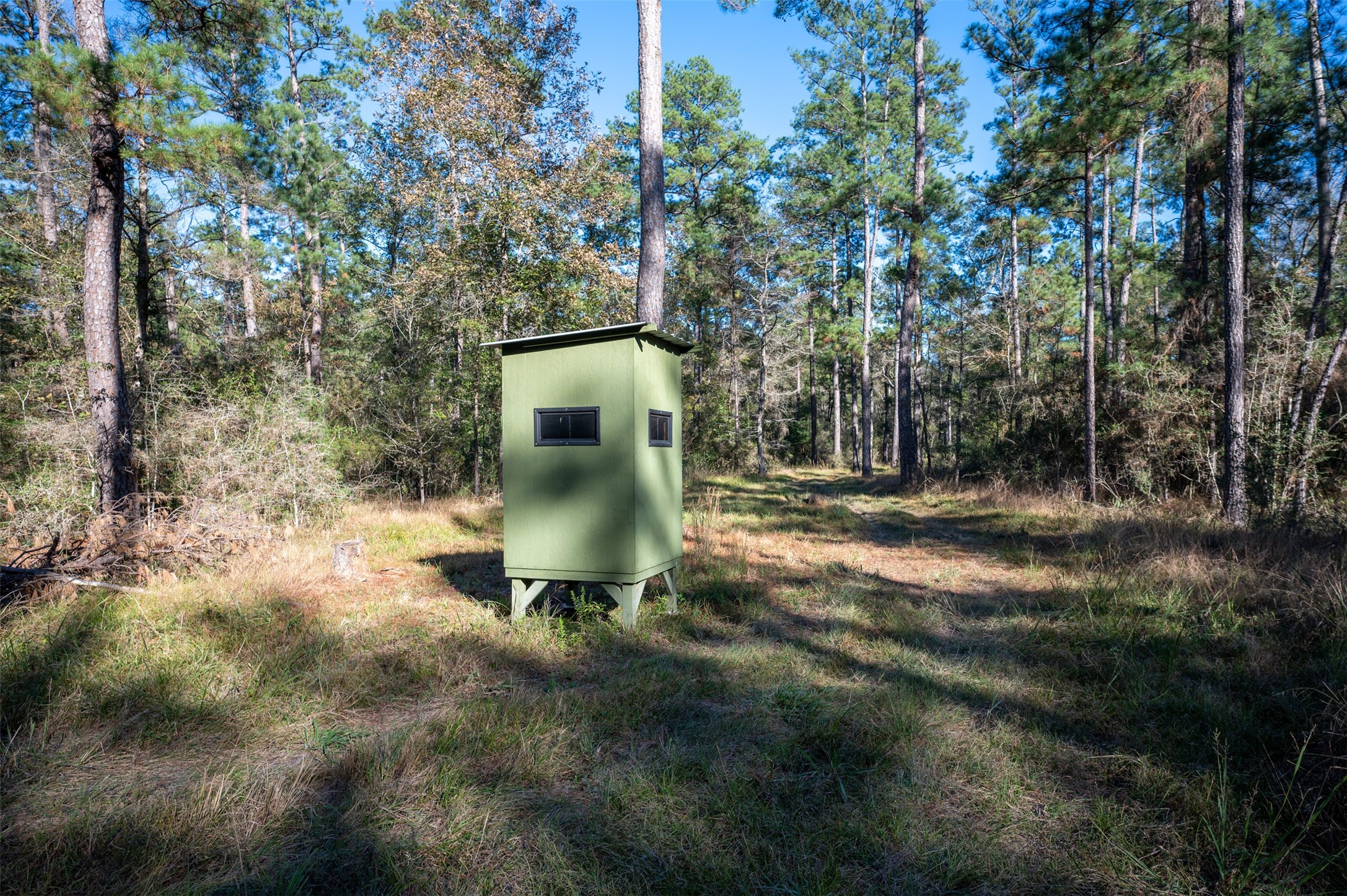 0 Farm To Market 1745 Chester, TX 75936 - Photo 29 of 37 a view of outdoor space and yard
