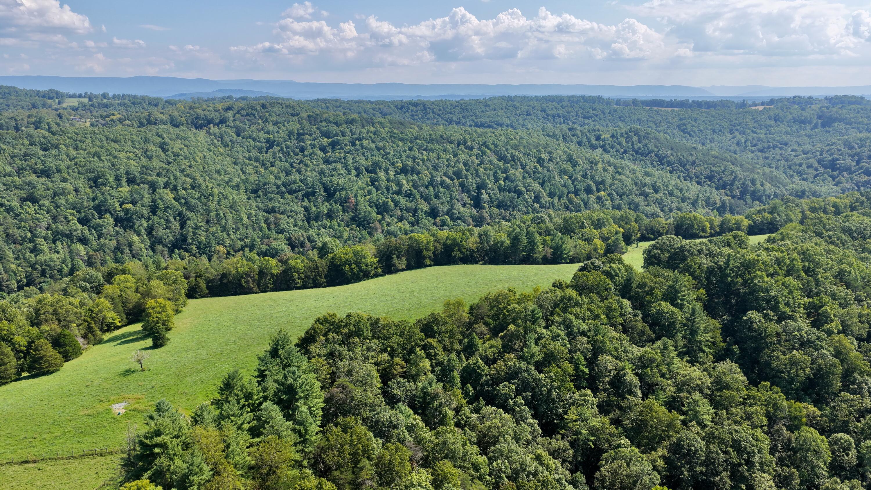 3513 War Ridge Road Wayside, WV 24985 - Photo 49 of 71 Gallery Image 49
