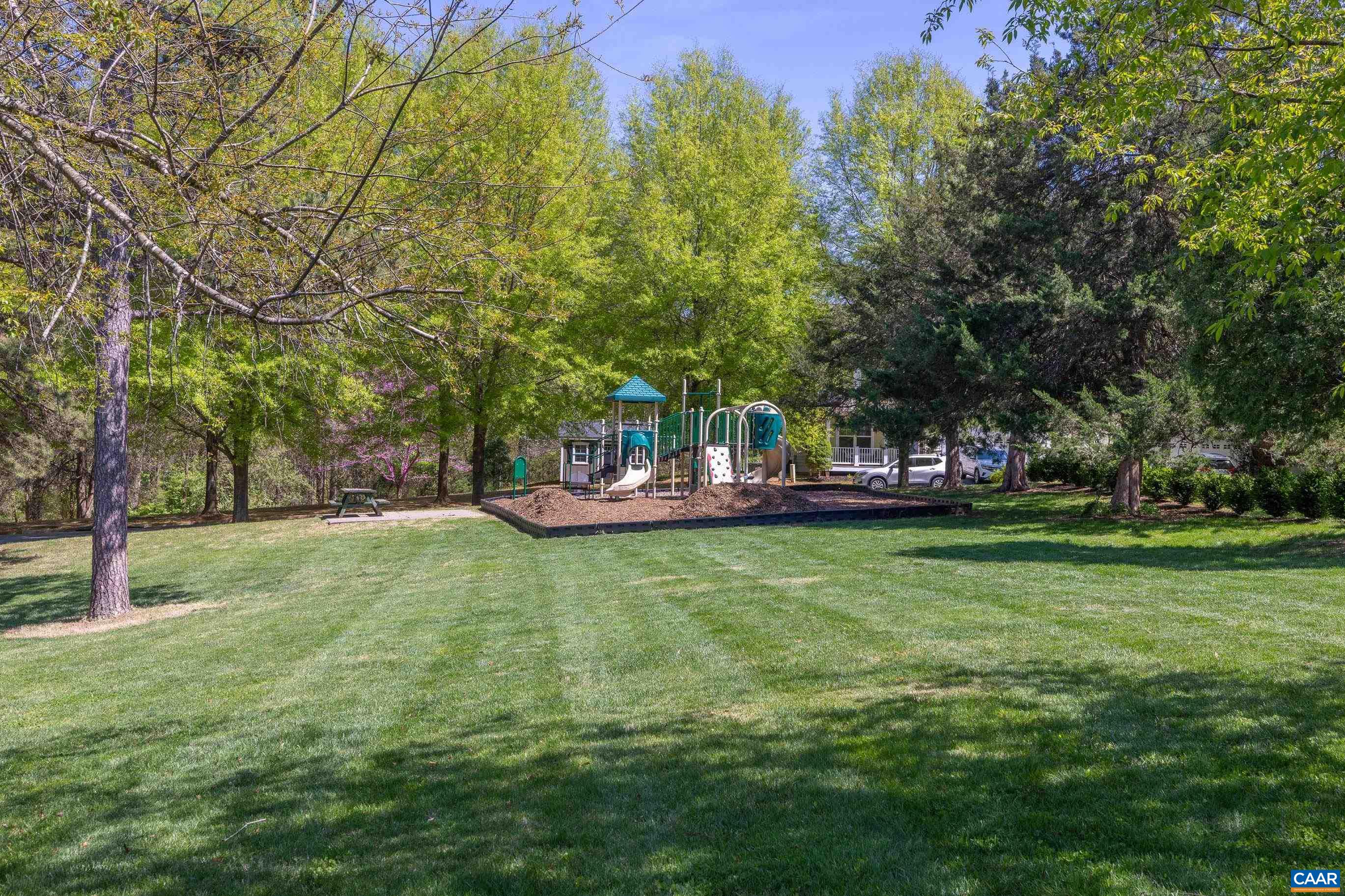 310 Patriot Way Charlottesville, VA 22903 - Photo 8 of 45