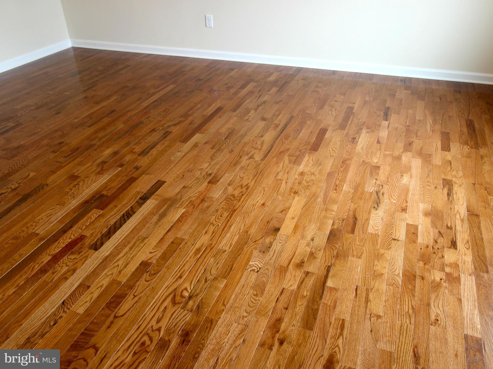 Lots Road Stevensville, MD 21666 - Photo 11 of 17 Living Room