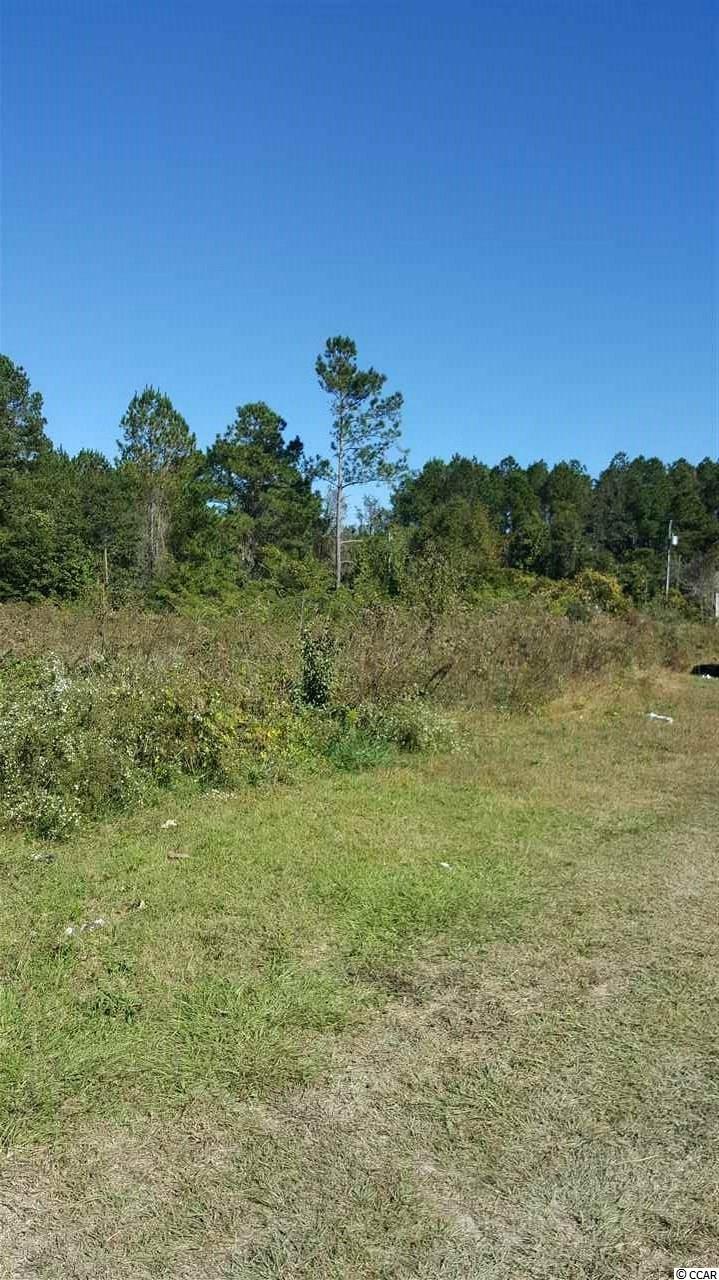 3200 Della Road Longs, SC 29568 - Photo 1 of 7 Gallery Image 1