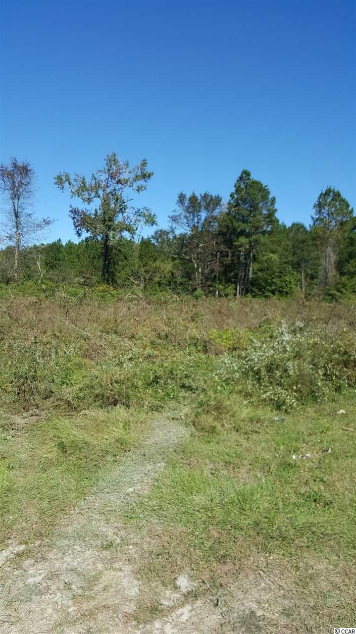 3200 Della Road Longs, SC 29568 - Photo 2 of 7 Gallery Image 2