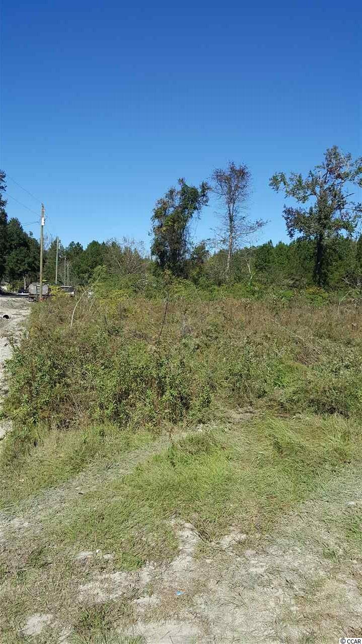 3200 Della Road Longs, SC 29568 - Photo 3 of 7 Gallery Image 3