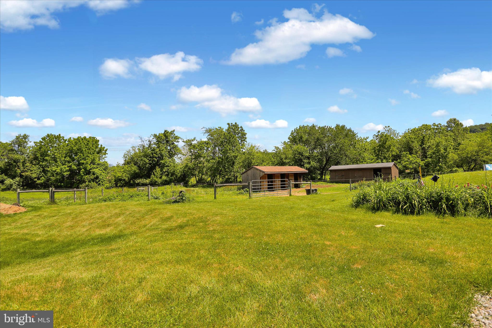 72 Cider Mill Road Mertztown, PA 19539 - Photo 30 of 53 E26A1815