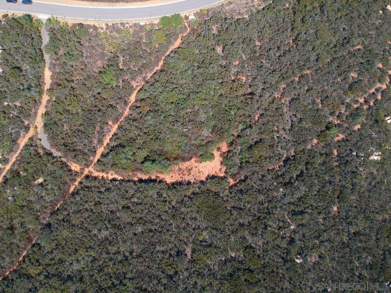 7 Del Poniente Road Poway, CA 92064 - Photo 4 of 26 a view of a forest with a tree